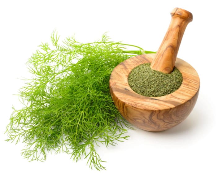 تصویر 3 از شوید خشک اعلا تهیه شده از بهترین سبزی تازه